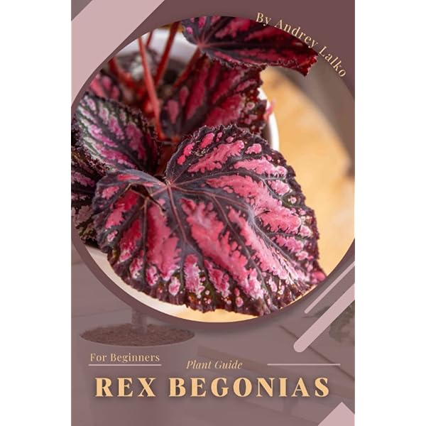 洋書 Begonias: The complete reference guide Begonias : The Complete Reference Guide: Thompson, Mildred